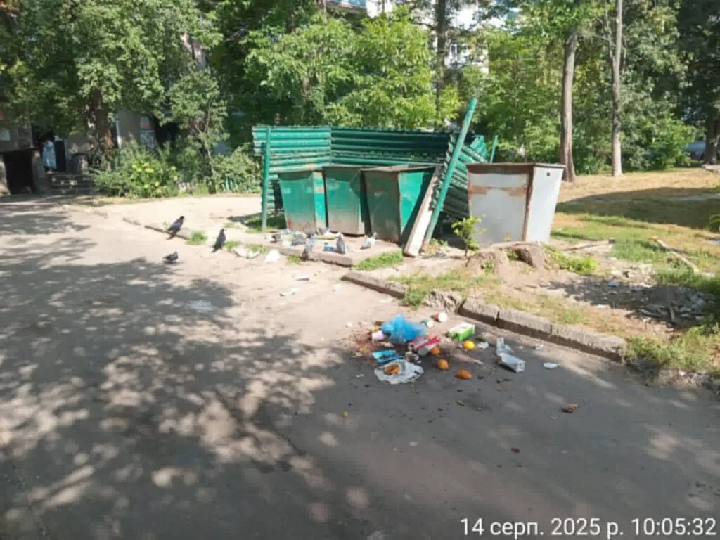 Володимир: варта за тиждень виявила порушення благоустрою